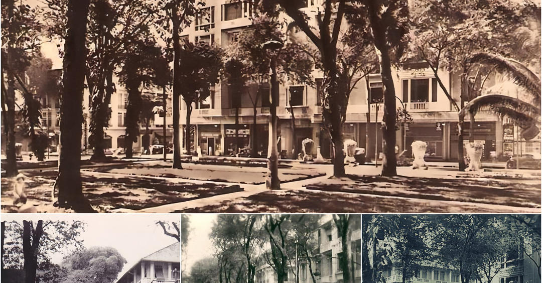 [🆕🇻🇳] Thời Trang MLB – Chuyên cung cấp các sản phẩm thời trang MLB cao cấp 🧑‍🧒❤️️👶⭐️ Chúc cả nhà Kỳ nghỉ 30/4-1/5 vui vẻ bên người thân
, shares-0✔️ , likes-29❤️️ , date-2024-04-26 23:15:15🇻🇳🇻🇳🇻🇳📰🆕