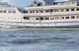 [☕️🇻🇳] Hemo Coffee – Bến Tre 🥤 Top1Coffee ☕️ đây là nhân viên của toai
, shares-0✔️ , likes-0❤️️ , date-2024-04-11 12:26:51🇻🇳🇻🇳🇻🇳📰🆕