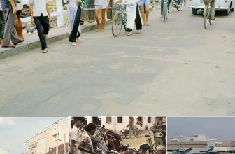 [🆕🇻🇳] Góc Xưa Nét Cũ ♥️️ Top1Life 📚  Chuyện chưa biết về Ông Lãnh và 5 bà vợ nức tiếng Sài Gòn  _ GXNC ‎
, shares-4✔️ , likes-11❤️️ , date-2024-04-24 16:41:27🇻🇳🇻🇳🇻🇳📰🆕