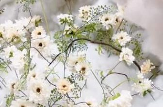 [☕️🇻🇳] Khóm Coffee & Tea 🥤 Top1Coffee ☕️ Lắm lúc tâm trí “trên mây” chút cũng không sao đâu bạn nhỉ, vì còn sống là còn mơ mộng mà
, shares-2✔️ , likes-24❤️️ , date-2024-03-30 12:00:44🇻🇳🇻🇳🇻🇳📰🆕