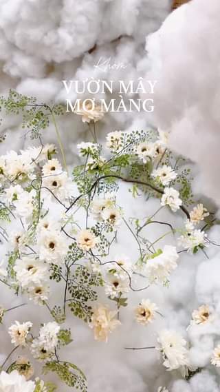 [☕️🇻🇳] Khóm Coffee & Tea 🥤 Top1Coffee ☕️ Lắm lúc tâm trí “trên mây” chút cũng không sao đâu bạn nhỉ, vì còn sống là còn mơ mộng mà 
 , shares-2✔️ , likes-24❤️️ , date-2024-03-30 12:00:44🇻🇳🇻🇳🇻🇳📰🆕