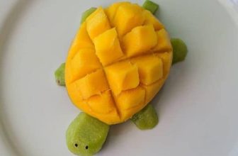 [☕️🇻🇳] Coffee TALK 🥤 Top1Coffee ☕️ Hoa quả dư chịu khó cắt ntn cho các bé ăn đc nhiều cả nhà nhỉ
, shares-2✔️ , likes-4❤️️ , date-2024-02-14 05:57:39🇻🇳🇻🇳🇻🇳📰🆕