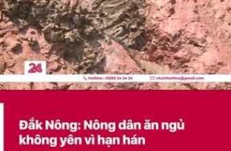 [☕️🇻🇳] ILOTA Coffee Roasters – Cafe rang xay 🥤 Top1Coffee ☕️  , shares-0✔️ , likes-10❤️️ , date-2024-04-16 07:24:53🇻🇳🇻🇳🇻🇳📰🆕