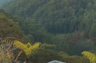 [☕️🇻🇳] Horizon Coffee – Đà Lạt 🥤 Top1Coffee ☕️ Một chút hoàng hôn cuối ngày tại Horizon Cafe
#horizoncafe #dalat #dalattrip #dalathoanghon #sunset
, shares-0✔️ , likes-0❤️️ , date-2024-04-30 07:08:00🇻🇳🇻🇳🇻🇳📰🆕