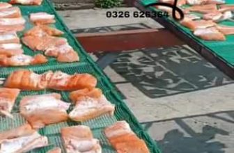 [🆕🇻🇳] Miền Tây Food – Chuyên các loại đặc sản miền tây loại 1 🍔 Top1Food 🍜  , shares-0✔️ , likes-34❤️️ , date-2024-03-05 17:26:33🇻🇳🇻🇳🇻🇳📰🆕