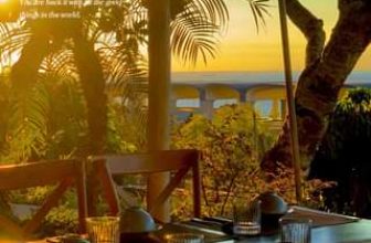 [☕️🇻🇳] The View Hai Dang – Dịch vụ tổ chức tiệc gặp mặt, tiệc mừng của công ty 🥤 Top1Coffee ☕️  , shares-0✔️ , likes-7❤️️ , date-2024-04-25 10:58:07🇻🇳🇻🇳🇻🇳📰🆕