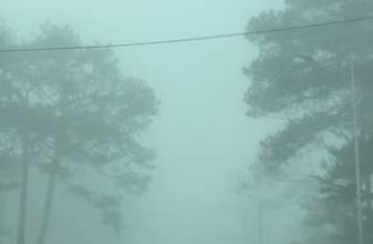 [☕️🇻🇳] Horizon Coffee – Đà Lạt 🥤 Top1Coffee ☕️  , shares-0✔️ , likes-0❤️️ , date-2024-04-03 13:01:35🇻🇳🇻🇳🇻🇳📰🆕