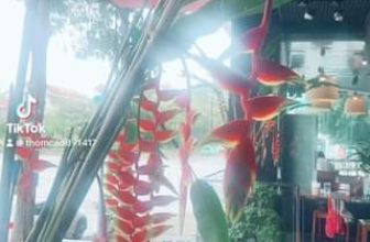 [☕️🇻🇳] Lion Coffee Nam Định 🥤 Top1Coffee ☕️ Lion Coffee Nam Định những ngày chuẩn bị vào hè.
, shares-0✔️ , likes-0❤️️ , date-2024-04-08 07:31:50🇻🇳🇻🇳🇻🇳📰🆕