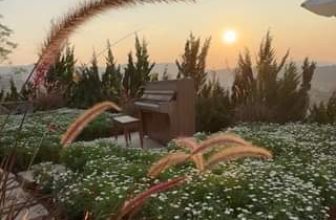 [☕️🇻🇳] Ngày của Nắng Coffee+ 🥤 Top1Coffee ☕️ Có những câu chuyện, muốn quên đi chẳng phải là điều dễ dàng! #Ngaycuanang #Nangcaphe #ngaycuanangcoffee #Quancapheviewdep #ngam , shares-0✔️ , likes-0❤️️ , date-2024-03-19 09:09:50🇻🇳🇻🇳🇻🇳📰🆕