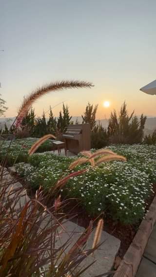 [☕️🇻🇳] Ngày của Nắng Coffee+ 🥤 Top1Coffee ☕️ Có những câu chuyện, muốn quên đi chẳng phải là điều dễ dàng! #Ngaycuanang #Nangcaphe #ngaycuanangcoffee #Quancapheviewdep #ngam , shares-0✔️ , likes-0❤️️ , date-2024-03-19 09:09:50🇻🇳🇻🇳🇻🇳📰🆕
