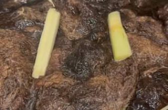 [☕️🇻🇳] Hemo Coffee – Bến Tre 🥤 Top1Coffee ☕️ Dự báo thời tiết nói: hôm nay nhiệt độ cao đến 36
độ, bạn cần bổ sung “Sâm Lạnh Hemo” để giải
nhiệt.
Công thức mới: nhiều vị , shares-0✔️ , likes-0❤️️ , date-2024-03-21 02:54:50🇻🇳🇻🇳🇻🇳📰🆕