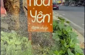 [☕️🇻🇳] 15.22 café – wine – live music 🥤 Top1Coffee ☕️ Ghé HOA YÊN những ngày nắng nóng để hoài niệm về những ngày tháng đẹp tươi  #hoayen #cantho #vườn_xanh_thành_phố
, shares-3✔️ , likes-103❤️️ , date-2024-03-24 03:35:35🇻🇳🇻🇳🇻🇳📰🆕