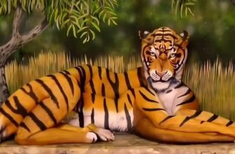 [🆕🇻🇳] Aerobic Zumba Yoga Huệ Sala Đông Anh 🧘 Top1Yoga 🧘 Chiêm ngưỡng những tuyệt tác vẽ trên cơ thể người！Để hoàn thành những bức body painting như thế này cần tới 8 tiếng, vì vậy, họa sĩ phải sử dụng một loại s , shares-0✔️ , likes-0❤️️ , date-2024-04-02 02:00:03🇻🇳🇻🇳🇻🇳📰🆕