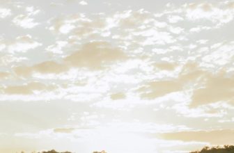 [🆕🇻🇳] The Nella👕 Top1Fashion 👗  Be the bride you want to be | 𝐁𝐒𝐓 𝐒𝐩𝐫𝐢𝐧𝐠 𝐒𝐮𝐦𝐦𝐞𝐫 𝐂𝐨𝐥𝐥𝐞𝐜𝐭𝐢𝐨𝐧 𝑏𝑦 𝑇𝐻𝐸 𝑁𝐸𝐿𝐿𝐴Đối với nhiều “bride-to-be”, ưu tiên hàng đầu là tìm được một chiếc váy cưới mang  , shares-0✔️ , likes-18❤️️ , date-2024-03-21 14:02:04🇻🇳🇻🇳🇻🇳📰🆕