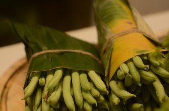 [☕️🇻🇳] PHD Book – Coffee 🥤 Top1Coffee ☕️ Vegetables | veganVậy là lứa rau trồng đợt rồi cũng thu hoạch. Rau sống ăn hàng ngày, không cam kết theo các tiêu chuẩn hữu cơ , shares-0✔️ , likes-55❤️️ , date-2024-03-21 14:57:56🇻🇳🇻🇳🇻🇳📰🆕