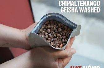 [☕️🇻🇳] ACID8 Specialty Coffee 🥤 Top1Coffee ☕️ HẠT XỊN UỐNG VUI –  ROUND 1: GUATEMALA CHIMALTENANGO GEISHA WASHEDChúng tôi có ít hạt cà phê xịn vốn để uống cho vui, nhưng t , shares-1✔️ , likes-25❤️️ , date-2024-03-21 01:30:34🇻🇳🇻🇳🇻🇳📰🆕