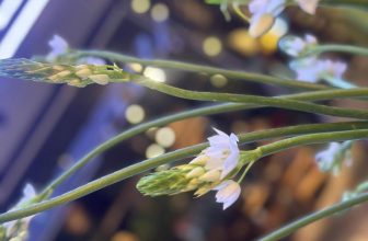 [☕️🇻🇳] Lion Coffee Nam Định 🥤 Top1Coffee ☕️ Chào buổi tối, các bạn đã chuẩn bị cần câu chưa nào ????? Lion Coffee Nam Định
, shares-0✔️ , likes-8❤️️ , date-2024-03-30 11:48:14🇻🇳🇻🇳🇻🇳📰🆕