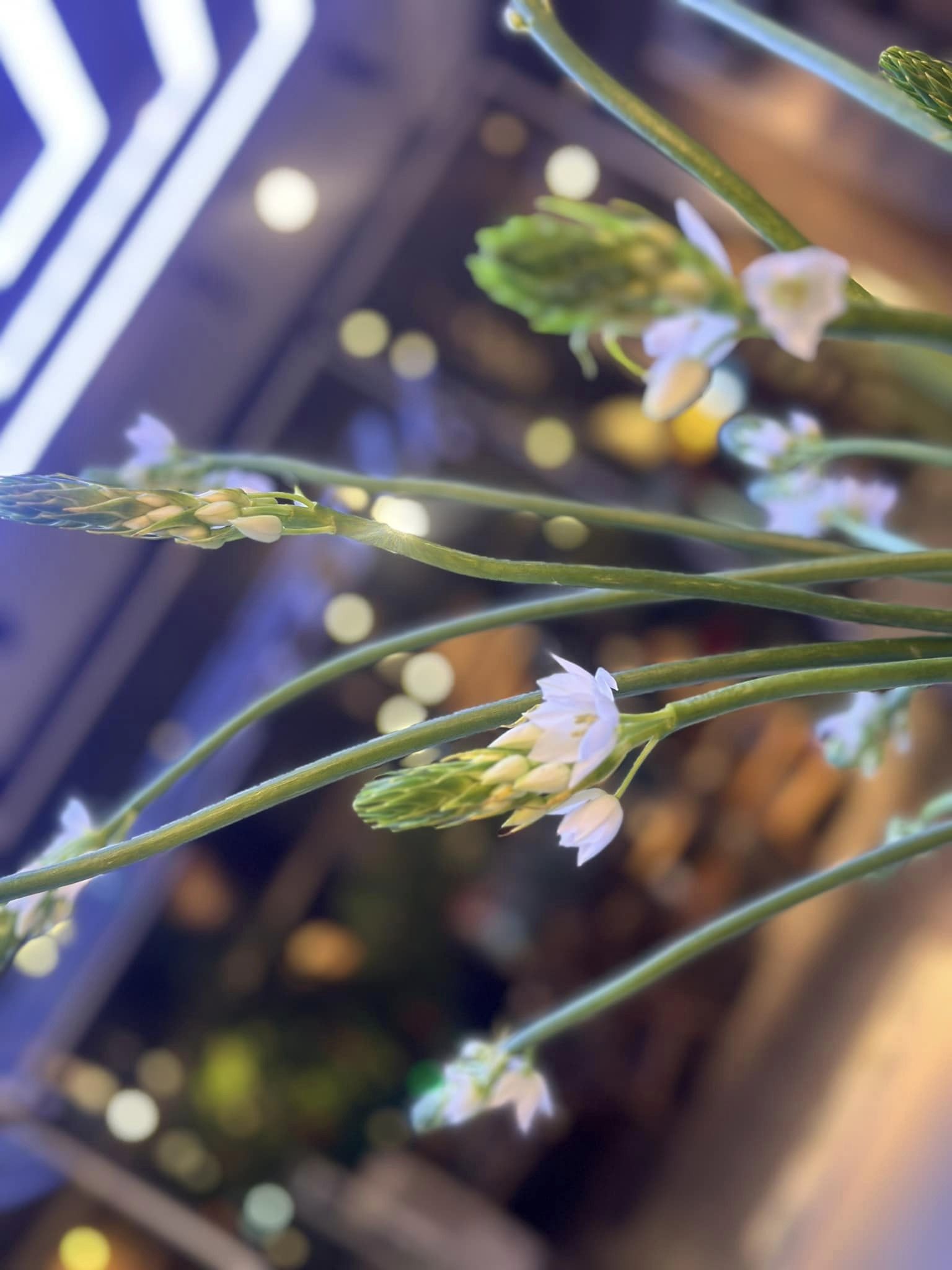 [☕️🇻🇳] Lion Coffee Nam Định 🥤 Top1Coffee ☕️ Chào buổi tối, các bạn đã chuẩn bị cần câu chưa nào ????? Lion Coffee Nam Định
, shares-0✔️ , likes-8❤️️ , date-2024-03-30 11:48:14🇻🇳🇻🇳🇻🇳📰🆕