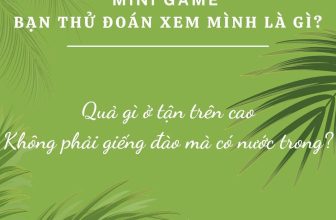 [☕️🇻🇳] Hemo Coffee – Bến Tre 🥤 Top1Coffee ☕️ [Minigame] CƠ HỘI THƯỞNG THỨC SIÊU PHẨM MỚI MIỄN PHÍ ĐÂY RỒIIIIĐến hẹn lại lên, nhân dịp sắp ra mắt “siêu phẩm mới” HEMO dành , shares-1✔️ , likes-23❤️️ , date-2024-03-25 13:08:06🇻🇳🇻🇳🇻🇳📰🆕