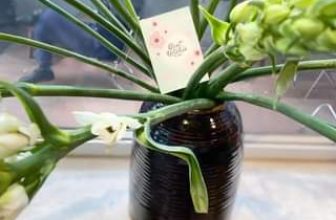 [☕️🇻🇳] Hanoi Roastery-We are Processing Fresh Coffee 🥤 Top1Coffee ☕️  , shares-0✔️ , likes-0❤️️ , date-2024-04-11 05:25:10🇻🇳🇻🇳🇻🇳📰🆕