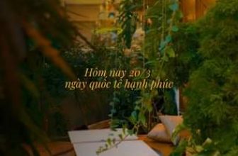 [☕️🇻🇳] Oromia Coffee – Lounge🥤 Top1Coffee ☕️ Chúc bạn mỗi ngày đều hạnh phúc
, shares-0✔️ , likes-0❤️️ , date-2024-03-20 06:29:55🇻🇳🇻🇳🇻🇳📰🆕