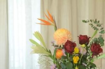 [☕️🇻🇳] PHD Book – Coffee 🥤 Top1Coffee ☕️ Mứt chanh dây
Từ ngày đi đi về về mảnh vườn nhỏ bên suối mần rau, mần ruộng…
Hóc hẻm nào cũng vào ngó nghiêng. Cũng ghé nhà n , shares-0✔️ , likes-0❤️️ , date-2024-03-20 08:22:36🇻🇳🇻🇳🇻🇳📰🆕