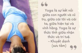 [🆕🇻🇳] Yogadaily – Trung tâm Yoga uy tín tại TPHCM 🧘 Top1Yoga 🧘 Yoga là sự kết nối giữa con người và vũ trụ, giữa cái tôi và cái ta, giữa hiện tại và vĩnh hằng. Yoga là sự thức tỉnh giữa nhận thức và trí tuệ.
– Khuyết  , shares-0✔️ , likes-1❤️️ , date-2024-04-10 12:00:04🇻🇳🇻🇳🇻🇳📰🆕