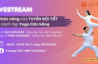 [🆕🇻🇳] Yogadaily – Trung tâm Yoga uy tín tại TPHCM 🧘 Top1Yoga 🧘  LIVESTREAM ĐẶC BIỆT!! Hẹn cả nhà Tối Thứ 3 này tại Fanpage Học viện Yogadaily nhé
LIVESTREAM ĐẶC BIỆT: Hiểu về Chức năng của TUYẾN NỘI TIẾT và cách tập  , shares-0✔️ , likes-1❤️️ , date-2024-03-24 03:00:05🇻🇳🇻🇳🇻🇳📰🆕