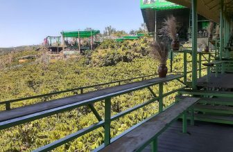 [☕️🇻🇳] Mê Linh Coffee Garden 🥤 Top1Coffee ☕️ CUỐI TUẦN ĐẸP TRỜI – LÊN LỊCH KHÁM PHÁ MÊ LINH COFFEE GARDEN THÔIIIIĐừng để deadline làm bạn quên rằng mình cũng cần được thư , shares-5✔️ , likes-51❤️️ , date-2024-03-29 03:19:21🇻🇳🇻🇳🇻🇳📰🆕