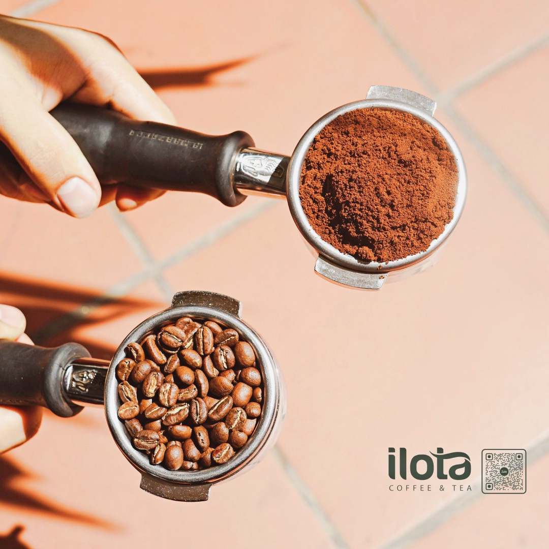 [☕️🇻🇳] ILOTA Coffee Roasters – Cafe rang xay 🥤 Top1Coffee ☕️ [𝑲𝒉𝒊 𝒃𝒂̃ 𝒄𝒂̀ 𝒑𝒉𝒆̂ 𝒕𝒓𝒐̛̉ 𝒍𝒂̣𝒊 𝒏𝒖𝒐̂𝒊 𝒅𝒖̛𝒐̛̃𝒏𝒈 𝒏𝒉𝒖̛̃𝒏𝒈 𝒄𝒂̂𝒚 𝒙𝒂𝒏𝒉 ]Sau khi pha cà phê xong bạn xử lý phần bã cà phê như thế nào?
, shares-0✔️ , likes-12❤️️ , date-2024-03-30 12:30:09🇻🇳🇻🇳🇻🇳📰🆕