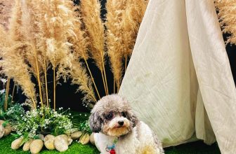 [☕️🇻🇳] Phen’s Coffee 🥤 Top1Coffee ☕️ Chụp hình kêu cười lên, say hi đồ lên mà không nghe rồi trưng cái mặt “Rầu” ra như vị đó
Ai? Ai ghẹo gì bạn?   Ghé Nhà Phen n , shares-0✔️ , likes-6❤️️ , date-2024-04-12 12:09:39🇻🇳🇻🇳🇻🇳📰🆕