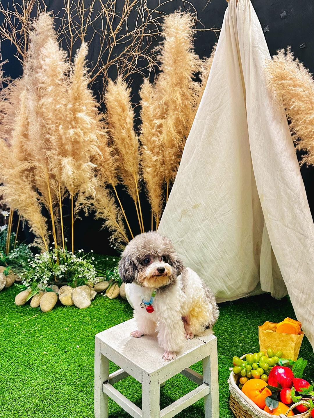 Chụp hình kêu cười lên, say hi đồ lên mà không nghe rồi trưng cái mặt “Rầu” ra như vị đó
Ai? Ai ghẹo gì bạn? Ghé Nhà Phen n