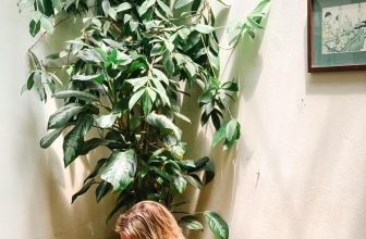 [☕️🇻🇳] Tranquil Books & Coffee –  cafe sách đẹp 🥤 Top1Coffee ☕️ Mãi mới có một chủ nhật nhiều nắng.
, shares-0✔️ , likes-34❤️️ , date-2024-03-31 05:52:13🇻🇳🇻🇳🇻🇳📰🆕