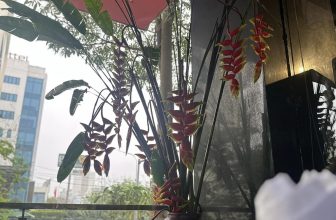 [☕️🇻🇳] Lion Coffee Nam Định 🥤 Top1Coffee ☕️  , shares-0✔️ , likes-3❤️️ , date-2024-04-07 02:42:53🇻🇳🇻🇳🇻🇳📰🆕