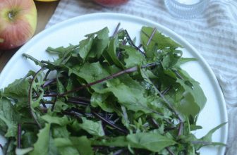 [☕️🇻🇳] PHD Book – Coffee 🥤 Top1Coffee ☕️ Salad bồ công anh sốt chanh dây- mát mẻ mùa hè.
Mùa này xoài quê đã có quả chín rồi. Táo juliet hữu cơ cũng có luôn. Rau bồ công , shares-0✔️ , likes-40❤️️ , date-2024-04-22 07:26:28🇻🇳🇻🇳🇻🇳📰🆕