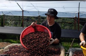 [☕️🇻🇳] Kafeville – Espresso and hand craft coffee bar 🥤 Top1Coffee ☕️ Vậy là sau bao mong mỏi thì cà phê vụ mới đã vềNăm nay ở Kafeville sẽ có hạt cà phê Cầu Đất được sơ chế khá phong phú như sau , shares-2✔️ , likes-55❤️️ , date-2024-04-01 15:54:43🇻🇳🇻🇳🇻🇳📰🆕