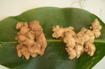 [☕️🇻🇳] PHD Book – Coffee 🥤 Top1Coffee ☕️ Đợt rồi quán đặt được vài kg gừng giống địa phương của người dân Ê Đê- Đaklak (Dân ta hay gọi là gừng mọi chuyên làm thuốc). Địn , shares-0✔️ , likes-49❤️️ , date-2024-04-06 03:59:39🇻🇳🇻🇳🇻🇳📰🆕