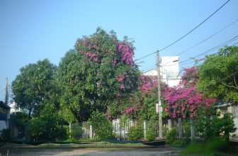 [☕️🇻🇳] PHD Book – Coffee 🥤 Top1Coffee ☕️ Trước quán có kệ rau sạch vườn nhà- thôn Cẩm Tú. Tùy mỗi ngày mà có các loại khác nhau. Rau canh tác không phân thuốc hóa học.
, shares-6✔️ , likes-119❤️️ , date-2024-04-14 08:10:25🇻🇳🇻🇳🇻🇳📰🆕