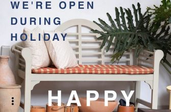 [☕️🇻🇳] Navido Coffee 🥤 Top1Coffee ☕️ –[18/04] – [30/04] – [01/05]Navido mở cửa HOẠT ĐỘNG ở cả ba chi nhánh và:KHÔNG PHỤ THU LỄ
KHÔNG PHỤ THU LỄ
KHÔNG PHỤ  , shares-0✔️ , likes-2❤️️ , date-2024-04-17 07:09:33🇻🇳🇻🇳🇻🇳📰🆕