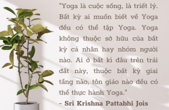 [🆕🇻🇳] Yogadaily – Trung tâm Yoga uy tín tại TPHCM 🧘 Top1Yoga 🧘 “Yoga là cuộc sống, là triết lý. Bất kỳ ai muốn biết về Yoga đều có thể tập Yoga. Yoga không thuộc sở hữu của bất kỳ cá nhân hay nhóm người nào. Ai ở bất k , shares-0✔️ , likes-2❤️️ , date-2024-04-20 06:30:05🇻🇳🇻🇳🇻🇳📰🆕