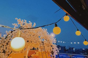 [☕️🇻🇳] Sam Rooftop Coffee 🥤 Top1Coffee ☕️ 𝐍𝐨́𝐧𝐠 𝐜𝐚̆𝐧𝐠 𝐜𝐮̛̣𝐜 𝐭𝐡𝐞̂́ 𝐧𝐚̀𝐲 𝐭𝐡𝐢̀ 𝐜𝐚́𝐜 𝐜𝐚̣̂𝐮 𝐦𝐮𝐨̂́𝐧 đ𝐢 đ𝐚̂𝐮 ???
Đến Sam ngay thôi để tha hồ #chill hóng gió và dăm ba câu chu , shares-17✔️ , likes-192❤️️ , date-2024-04-16 15:41:00🇻🇳🇻🇳🇻🇳📰🆕