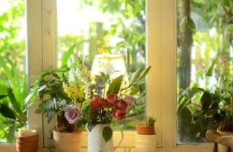 [☕️🇻🇳] PHD Book – Coffee 🥤 Top1Coffee ☕️ #morning #phdcoffee #book #tuyhoa #phuyen #vietnam #travel #workspace #countryside #localbussiness #greenliving #reuse
, shares-0✔️ , likes-0❤️️ , date-2024-04-09 04:46:05🇻🇳🇻🇳🇻🇳📰🆕