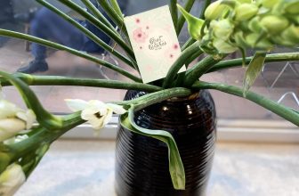 [☕️🇻🇳] Hanoi Roastery-We are Processing Fresh Coffee 🥤 Top1Coffee ☕️ Tình cảm là thứ không thể mua cũng không thể xin. Hanoi Roastery cảm ơn tình cảm của vị khách đặc biệt phương xa @Tram Ha. Mong  , shares-0✔️ , likes-6❤️️ , date-2024-04-11 05:24:02🇻🇳🇻🇳🇻🇳📰🆕