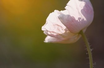 [☕️🇻🇳] Cố Thời Coffee 🥤 Top1Coffee ☕️ Let the sun shine, baby —————
Cố Thời Coffee
145/6 Nguyễn Đình Chính, P.11, Q. Phú Nhuận
, shares-0✔️ , likes-3❤️️ , date-2024-04-17 01:38:52🇻🇳🇻🇳🇻🇳📰🆕