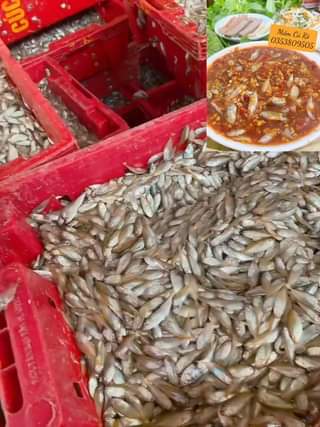 [☕️🇻🇳] Phen’s Coffee 🥤 Top1Coffee ☕️ Tuy năm nay em lớn nhưng vẫn thích chơi tồ tường   Cứ trẻ, cứ yêu đời thế nhé còn đời có yêu lại không thì Phen không biết  Vui  , shares-0✔️ , likes-7❤️️ , date-2024-04-21 11:00:25🇻🇳🇻🇳🇻🇳📰🆕