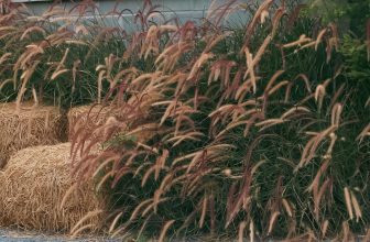 [☕️🇻🇳] 𝐋𝐚 𝐑𝐞̂𝐯𝐞𝐮𝐬𝐞🥤 Top1Coffee ☕️ “Cà phê em đặt trên bàn
Tay em cũng đặt trên bàn tay anh ” : Kiet Huynh
– Thank you for choose us
, shares-3✔️ , likes-97❤️️ , date-2024-04-15 09:43:18🇻🇳🇻🇳🇻🇳📰🆕