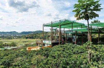 [☕️🇻🇳] Mê Linh Coffee Garden 🥤 Top1Coffee ☕️  Mùa hạ sắp tới, còn gì thích hơn việc được hoà mình vào không gian thiên nhiên xanh ngát tại 𝐌𝐞̂ 𝐋𝐢𝐧𝐡 𝐂𝐨𝐟𝐟𝐞𝐞 𝐆𝐚𝐫𝐝𝐞𝐧 phải không  , shares-6✔️ , likes-37❤️️ , date-2024-04-16 07:31:30🇻🇳🇻🇳🇻🇳📰🆕