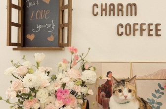 [☕️🇻🇳] Charm Coffee 🥤 Top1Coffee ☕️ Một chiếc bạn mèo…
Charm Coffee : ngõ 20 Láng Hạ, Đống Đa,HN
Opening hours: 07 am- 22h00 pm
Available apps : NOW FOO , shares-0✔️ , likes-17❤️️ , date-2024-04-14 10:44:21🇻🇳🇻🇳🇻🇳📰🆕