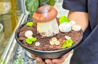 [☕️🇻🇳] YAMA Coffee Tea Dessert – Tây Ninh 🥤 Top1Coffee ☕️  Kết thúc ngày đầu tiên hái nấm: tất cả nấm trong “vườn” nhà YAMA đã được hái sạch !
Và niềm vui cuối ngày tụi mình “thu hoạch , shares-2✔️ , likes-44❤️️ , date-2024-04-13 14:34:57🇻🇳🇻🇳🇻🇳📰🆕