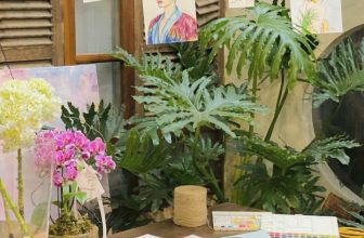 [☕️🇻🇳] Charm Coffee 🥤 Top1Coffee ☕️ Muôn màu…
Charm Coffee : ngõ 20 Láng Hạ, Đống Đa,HN
Opening hours: 07 am- 22h00 pm
Available apps : NOW FOOD/BAEMIN
, shares-0✔️ , likes-11❤️️ , date-2024-04-13 07:58:15🇻🇳🇻🇳🇻🇳📰🆕